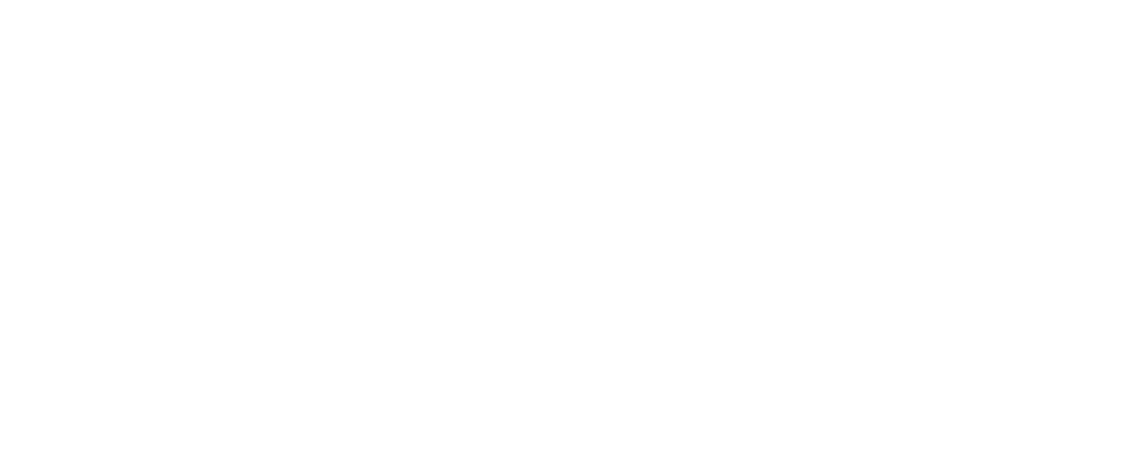 Amazoo.in logo